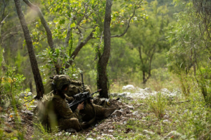 Why Transition to Sustainment is where Program Integrity is truly tested